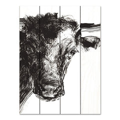 KAM553PAL - Linear Growth - 16x12