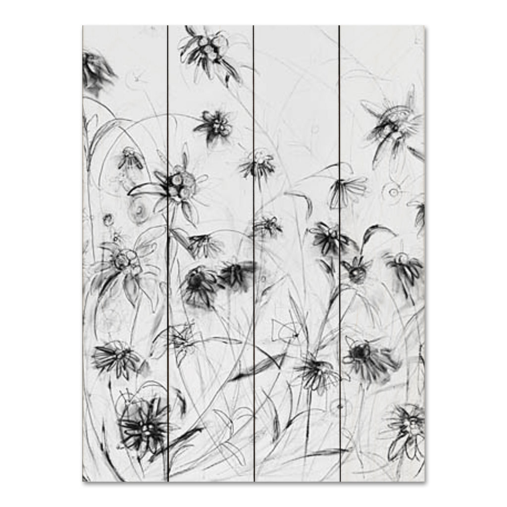 Kamdon Kreations KAM612PAL - KAM612PAL - Edelweiss - 16x12 Flowers, Wildflowers, Abstract, Sketch, Drawing Print, Black & White  from Penny Lane