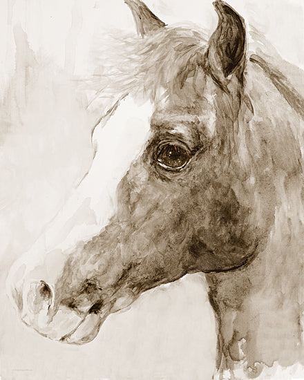 Kamdon Kreations KAM655 - KAM655 - Shadow - 12x16 Horse, Abstract, Watercolor from Penny Lane