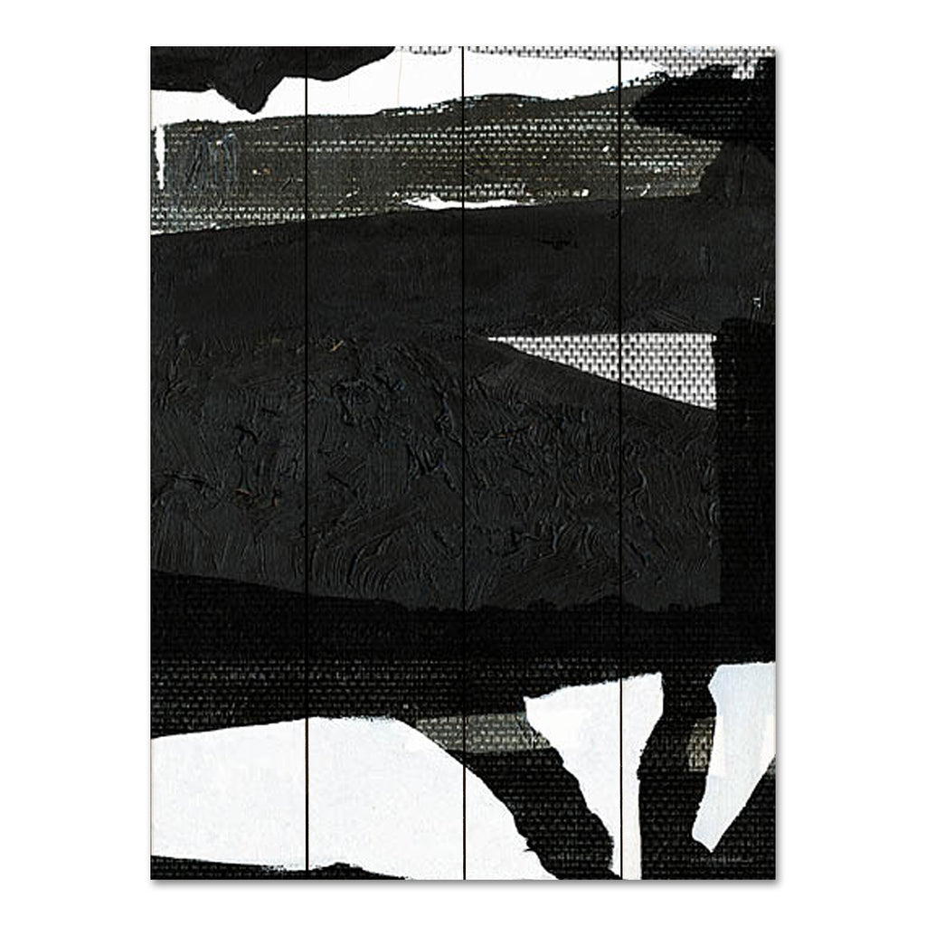 Kamdon Kreations KAM761PAL - KAM761PAL - Aging Gracefully - 12x16 Abstract, Contemporary, Black & White, Textured Art from Penny Lane