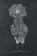 KAM770 - Poule de Houdan - 12x18