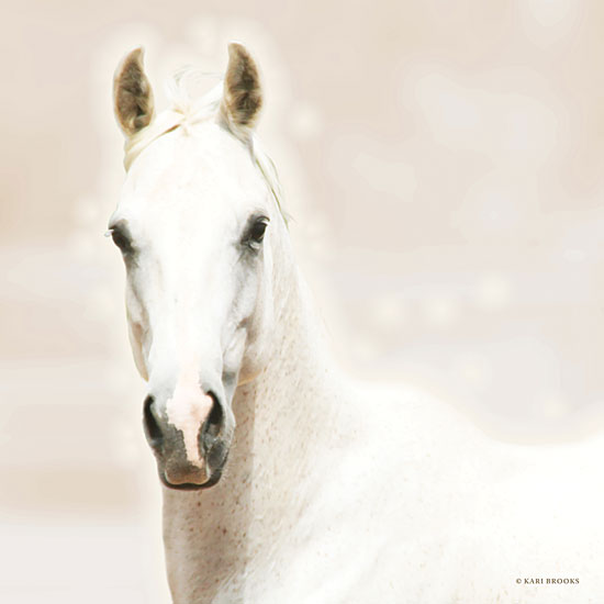 Kari Brooks KARI141 - KARI141 - Bella Luna     - 12x12 Horse, Photography, Bella Luna, Portrait from Penny Lane