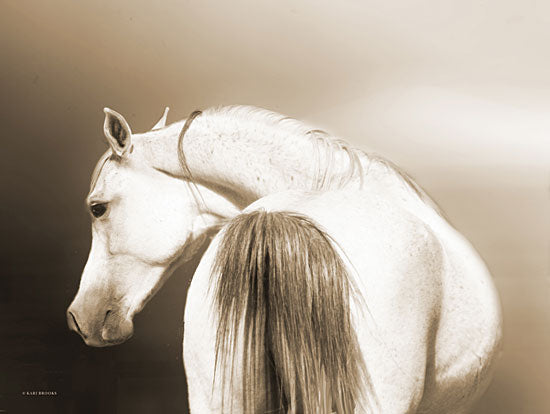 Kari Brooks KARI150 - KARI150 - Handsome Dash - 16x12 Horse, Backside of a Horse, Portrait from Penny Lane