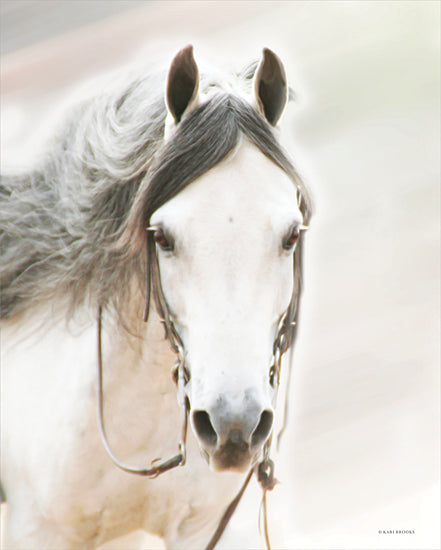 Kari Brooks KARI152 - KARI152 - The Grey Reiner - 12x16  Horse, Photography, White Horse, Gray Mane, Portrait from Penny Lane