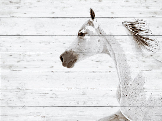 Kari Brooks  KARI168 - KARI168 - Moonbay                  - 16x12 Horse, Galloping Horse, Sideview, White Horse, Wood Plank Background, White from Penny Lane