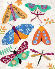 KD107 - Colorful Moths - 12x16