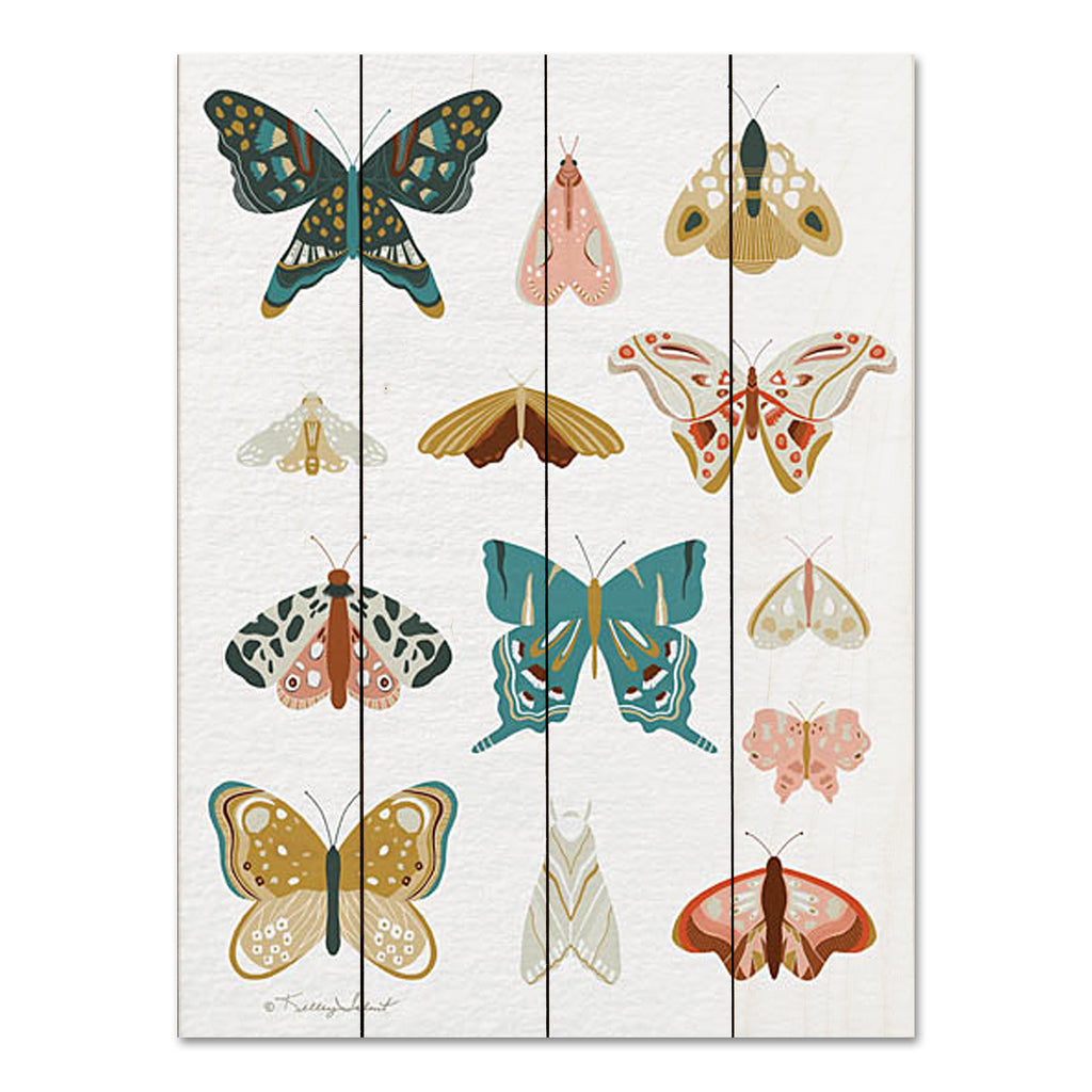 Kelley Talent KEL381PAL - KEL381PAL - Butterflies and Moths - 12x16 Butterflies, Moths, Chart, Nature, Folk Art from Penny Lane