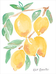 KR755 - Kitchen Lemons - 12x16