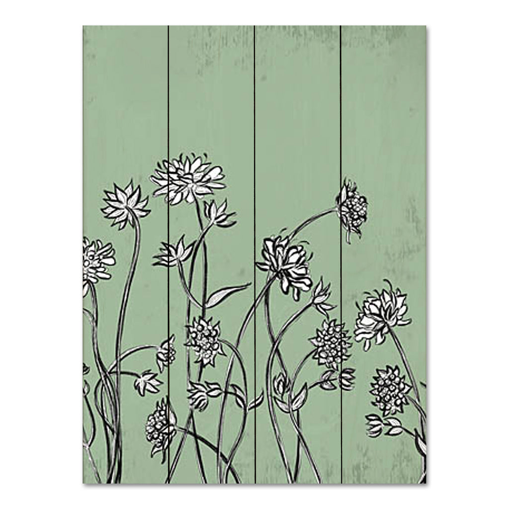 Kate Sherrill KS248PAL - KS248PAL - Floral Sketch 1 - 16x12 Flowers, Floral Sketch, Green & White, Wildflowers, Spring from Penny Lane