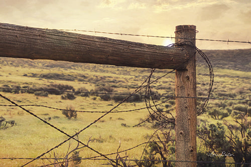 Lori Deiter LD1044 - Barbed Wire Fence - Fence, Landscape from Penny Lane Publishing