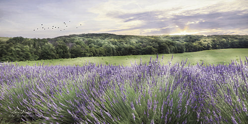 Lori Deiter LD1046 - Lavender Fields - Lavender, Fields, Landscape from Penny Lane Publishing
