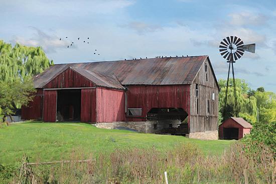 Lori Deiter LD1128 - Summer in Pennsylvania - Farm, Barn, Windmill, Landscape from Penny Lane Publishing