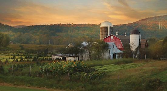 Lori Deiter LD1130 - New York Country Sunset - Farm, Barn, Sunflowers, Hillside, Landscape from Penny Lane Publishing