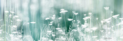 LD1566 - Dreamy Meadow - 24x8