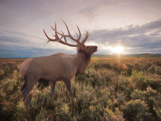 Lori Deiter LD1845 - LD1845 - Jackson Sunrise with Elk     - 16x12 Elk, Field, Landscape, Photography from Penny Lane