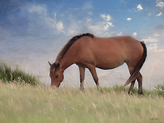 Lori Deiter LD2039 - LD2039 - Assataegue Horse - 16x12 Assataegue Horse, Horse, Field, Farm from Penny Lane