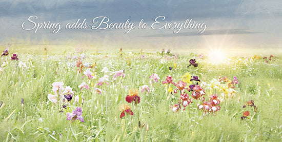 Lori Deiter LD2106 - LD2106 - Spring Adds Beauty - 18x9 Spring, Signs, Wildflowers, Field, Flowers, Photography from Penny Lane
