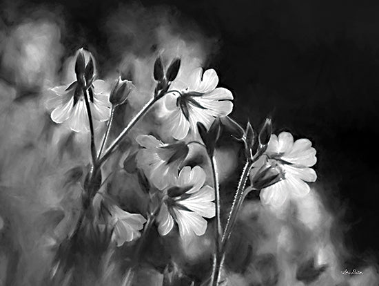Lori Deiter LD2112 - LD2112 - Black & White Flowers - 16x12 Flowers, Silhouette, Black & White, Photography from Penny Lane