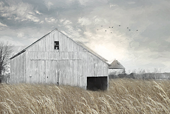 Lori Deiter LD2243 - LD2243 - Country Sunrise - 18x12 Barn, Farm, Wheat, Fields, Photography from Penny Lane