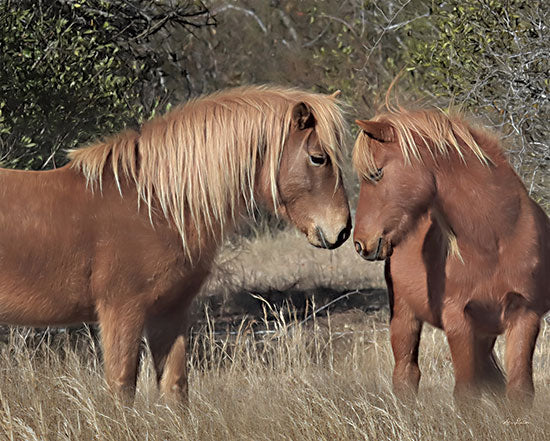 Lori Deiter LD2286 - LD2286 - Assateague Horses III - 16x12 Horses, Assateague Horses, Fields, Photography from Penny Lane
