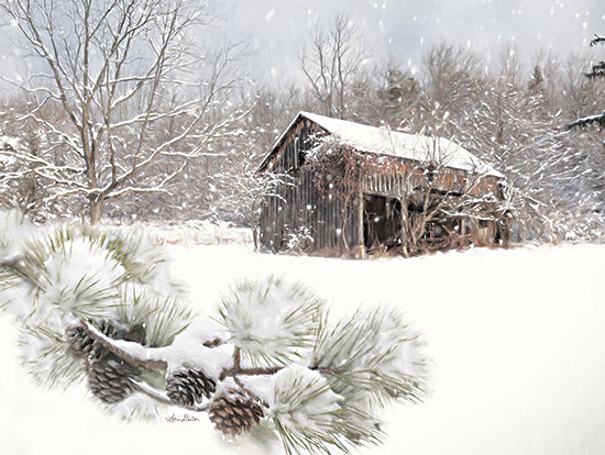 Lori Deiter LD2362 - LD2362 - Pine Ridge Farm - 16x12 Farm, Barn, Winter,  Snow, Pinecones, Pine Tree, Rustic, Landscape, Photography from Penny Lane