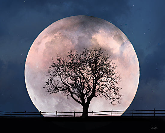 Lori Deiter LD2506 - LD2506 - Glowing Moonrise - 16x12 Moon, Tree, Evening, Photography from Penny Lane