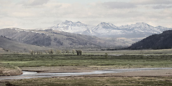 Lori Deiter LD2536 - LD2536 - Lamar Valley - 18x9 Landscape, Lamar Valley,  Yellowstone National Park, Montana, Mountains, Valley, Photography, Nature from Penny Lane