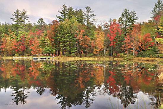 Lori Deiter LD2545 - LD2545 - Adirondacks Foliage - 18x12 Adirondacks, Fall, Autumn, Trees, Lake, Fall Foliage, Photography, Landscape from Penny Lane