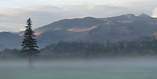 Lori Deiter LD2548 - LD2548 - Adirondack Misty Morning - 18x9 Adirondack Mountains, New York, Trees, Misty Morning, Fog, Nature, Photography from Penny Lane