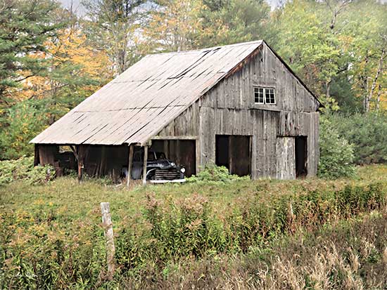 Lori Deiter LD2550 - LD2550 - Left Behind - 16x12 Barn, Car, Photography, Trees from Penny Lane