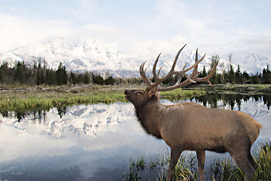 Lori Deiter LD2683 - LD2683 - Bull Elk in Tetons - 18x12 Bull Elk, Teton Mountains, Mountain Range, Wyoming, Lake, Trees, Landscape, Photography from Penny Lane