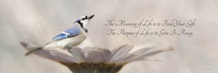 LD2735A - Meaning of Life - 36x12