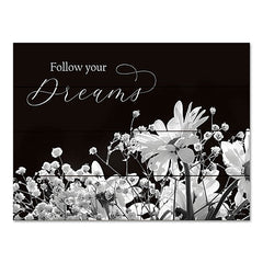 LD2797PAL - Follow Your Dreams - 16x12