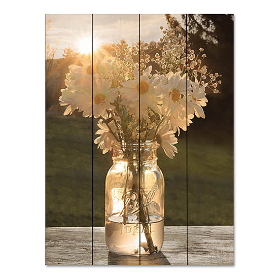 Lori Deiter LD2816PAL - LD2816PAL - Morning Daisies I - 12x16 Photography, Flowers, Daisies, Ball Jar, Country, Nature from Penny Lane