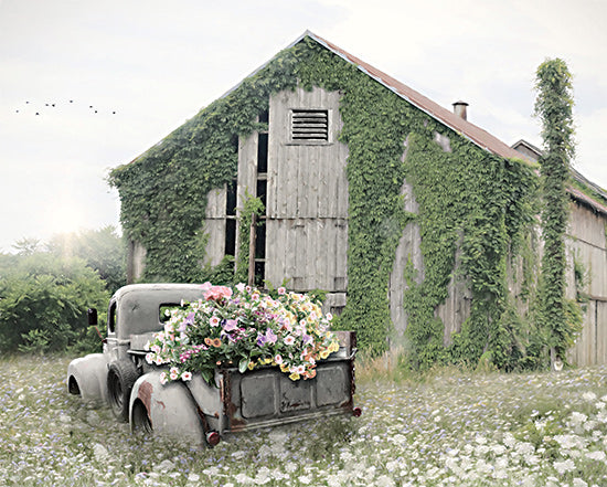 Lori Deiter LD2899 - LD2899 - Field of Flowers - 16x12 Overgrown, Barn, Farm, Truck, Flowers, Flower Truck, Vintage, Rustic, Photography from Penny Lane