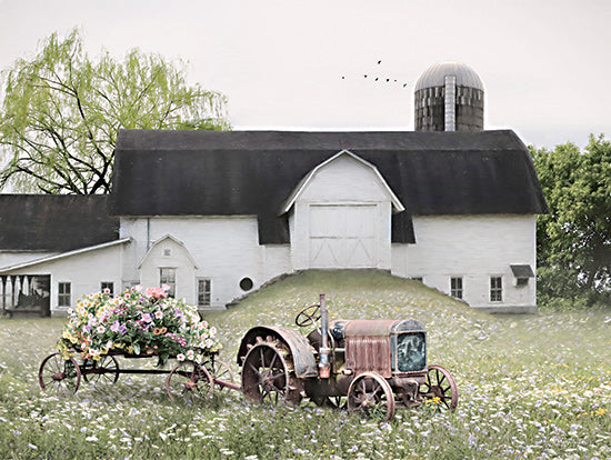 Lori Deiter LD2900 - LD2900 - Country Flower Cart - 16x12 Country Flower Car, Farm, Barn, Flowers, Tractor, Vintage, Country, Flower Cart, Photography from Penny Lane