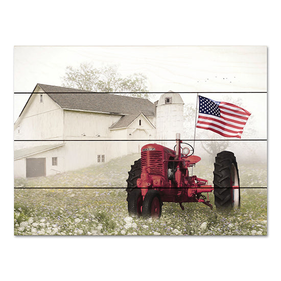 Lori Deiter LD2913PAL - LD2913PAL - Old Glory at the Barn - 16x12 Photography, Barn, Farm, American Flag, Patriotic, Tractor, Wildflowers from Penny Lane