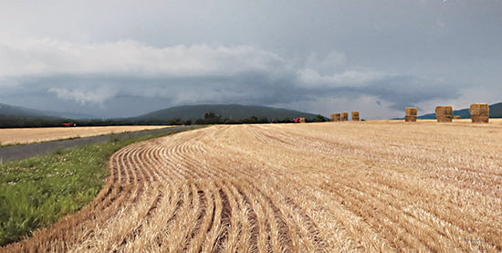 Lori Deiter LD2920 - LD2920 - Stormy Day Harvest II - 18x9 Photography, Farm, Fields, Hay Field, Landscape, Stormy Weather, Clouds from Penny Lane