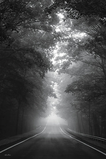 Lori Deiter LD2944 - LD2944 - Look Forward - 12x18 Photography, Landscape, Road, Trees, Haze, Black & White, Look Forward from Penny Lane
