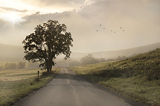 Lori Deiter LD2947 - LD2947 - Foggy Country Road I - 18x12 Country Road, Fog, Trees, Road, Landscape, Photography, Weather, Nature from Penny Lane