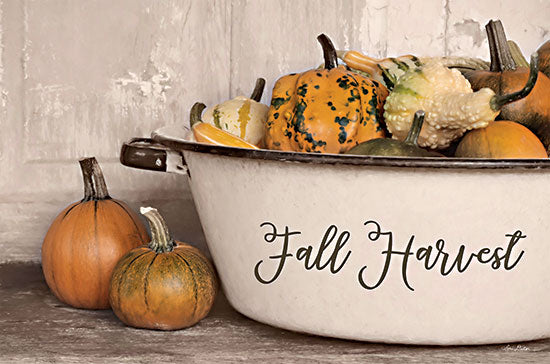 Lori Deiter LD2997 - LD2997 - Fall Harvest - 18x12 Fall, Harvest, Still Life, Pumpkins, Gourds, Pail, Typography, Signs, Photography from Penny Lane