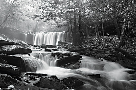 Lori Deiter LD3027 - LD3027 - Oneida Falls - 18x12 Oneida Falls, Pennsylvania, Nature, Trees, Landscape, Black & White from Penny Lane