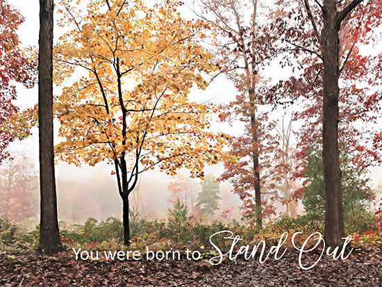Lori Detier Licensing LD3046LIC - LD3046LIC - You Were Born to Stand Out - 0  from Penny Lane