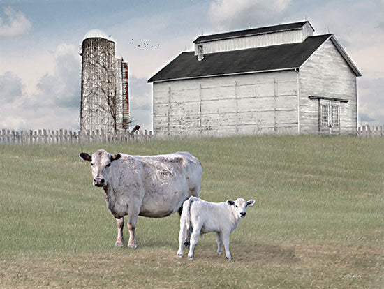 Lori Deiter LD3084 - LD3084 - Momma and Baby Cow - 16x12 Farm, Cows, Barn, Mother and Baby, Calf, Photography, Landscape from Penny Lane