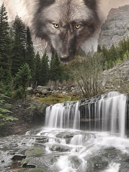 Lori Deiter LD3110 - LD3110 - Watchful Wolf - 12x16 Wolf, Waterfall, Lodge, Nature, Photography, Wild Animal, Trees, Nature, Rocks, Landscape from Penny Lane