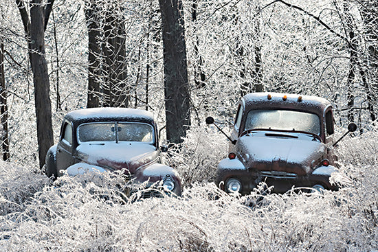 Lori Deiter LD3113 - LD3113 - Frozen in Time - 18x12 Car, Truck, Blue Car, Blue Truck, Rusty Vehicles, Vintage, Winter, Forest, Woods, Photography, Ice, Trees, Landscape from Penny Lane