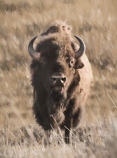 Lori Deiter LD3118 - LD3118 - Yellowstone Bison - 12x16 Bison, Wild Animal, Portrait, Photography, Field  from Penny Lane