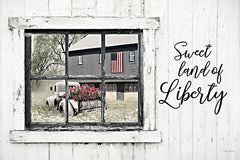 LD3125 - Sweet Land of Liberty - 18x12