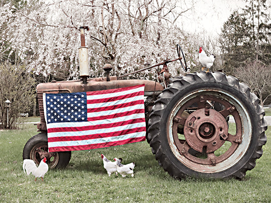Lori Deiter LD3169 - LD3169 - Country Pride - 16x12 Photography, Farm, Tractor, Vintage, Patriotic, American Flag, Chickens, Rooster, Summer from Penny Lane
