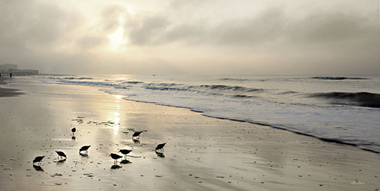 Lori Deiter Licensing LD3184LIC - LD3184LIC - Sandpipers at Sunrise - 0  from Penny Lane